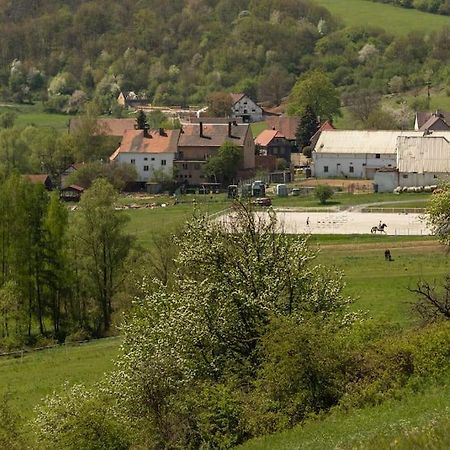 Ubytování v apartmánu, 2 ložnice, na farmě Bzany Exterior foto